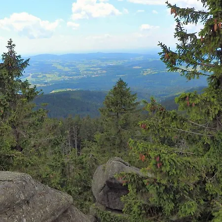 فندق مبيت وإفطار Bayerischer Wald زانكت أوزفالد
