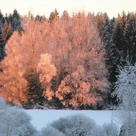فندق مبيت وإفطار Bayerischer Wald